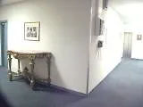 Flora 酒店